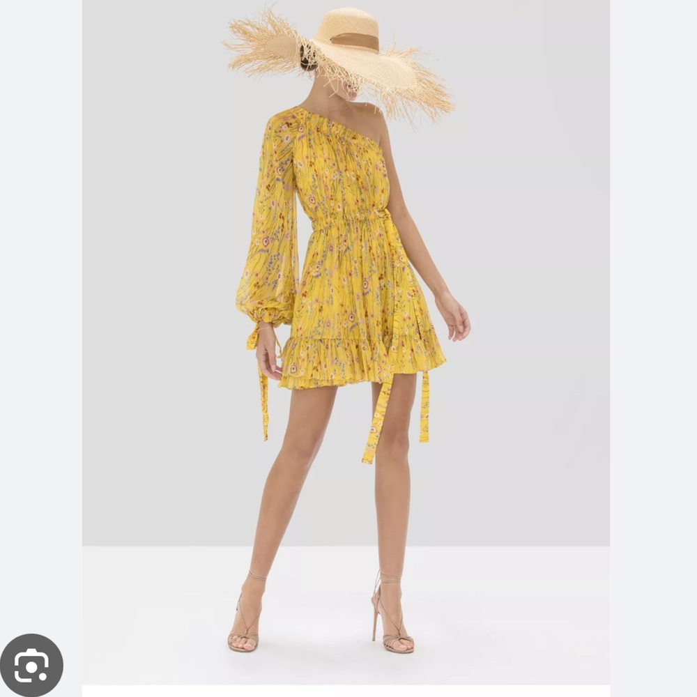 Alexis floral print mini dress NWT